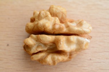 Kahverengi Ceviz portre