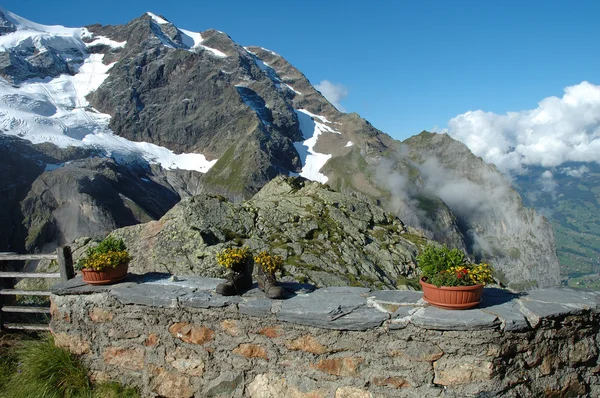 ハイキング ブーツと山の花 — ストック写真