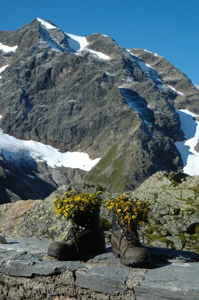 Botas de senderismo con flores en las montañas — Foto de Stock