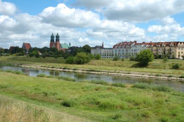 Katedrali ve diğer binalar Poznan, Polonya
