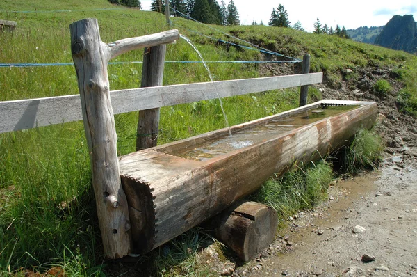 Old wooden trough — Stock Photo, Image