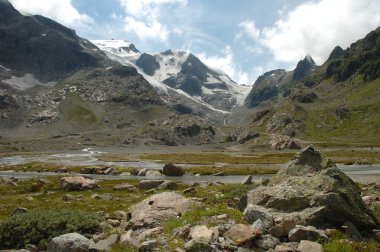 Vadi Buzulu İsviçre Alpleri'nde yakın kayalarda