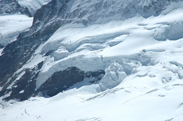 LED a sníh v blízkosti Jungfraujoch v Alpách ve Švýcarsku — Stock fotografie