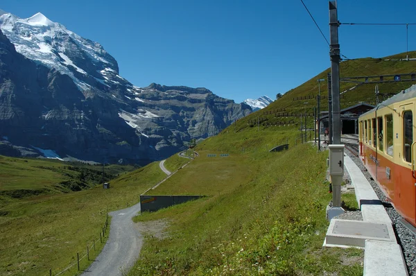 Picos, prados y trenes en Kleine Scheidegg en Suiza —  Fotos de Stock