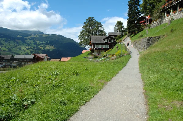 Narrow footpath in Grindelwald in Switzerland — Stock Photo, Image