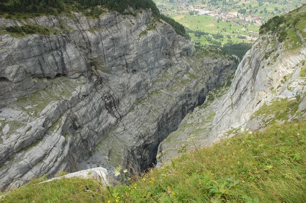 Grindelwald İsviçre yakın derin kayalık vadi — Stok fotoğraf