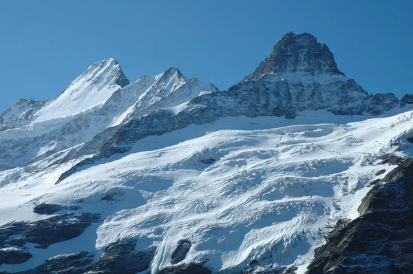 Geleira nas proximidades Grindelwald em Alpes na Suíça — Fotografia de Stock