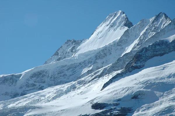 Gletscher in der Nähe von Grindelwald in den Schweizer Alpen — Stockfoto