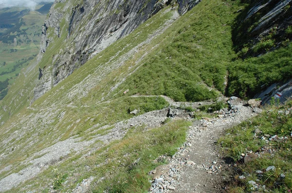 Trilha nas proximidades Grindelwald na Suíça — Fotografia de Stock