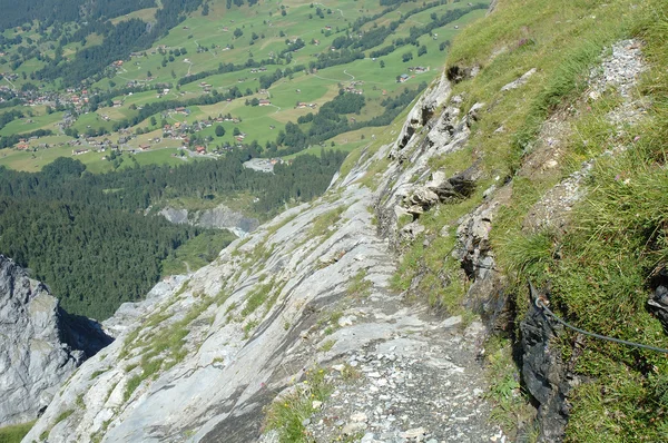 Trail nearby Grindelwald in Switzerland — Stock Photo, Image