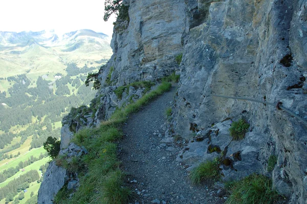 Trilha nas proximidades Grindelwald na Suíça — Fotografia de Stock