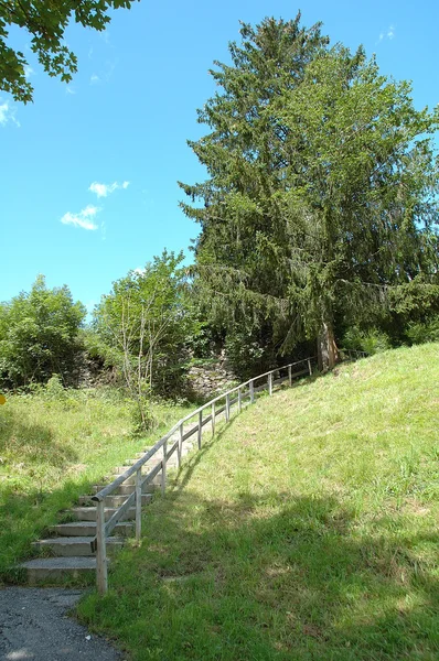 Лестницы с деревянным барьером на склоне холма . — стоковое фото