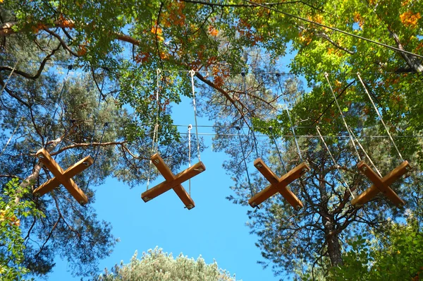 Köprü yapılmış günlükleri ve halatlar