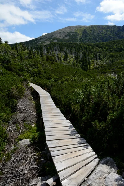 在 Karkonosze 山的小路上的木桥 — 图库照片