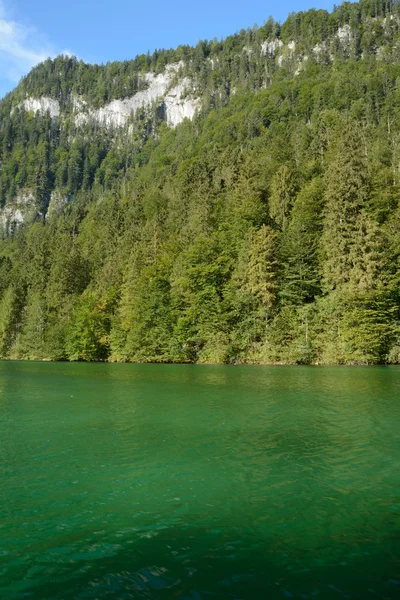 Forêt à flanc de montagne au lac — Photo