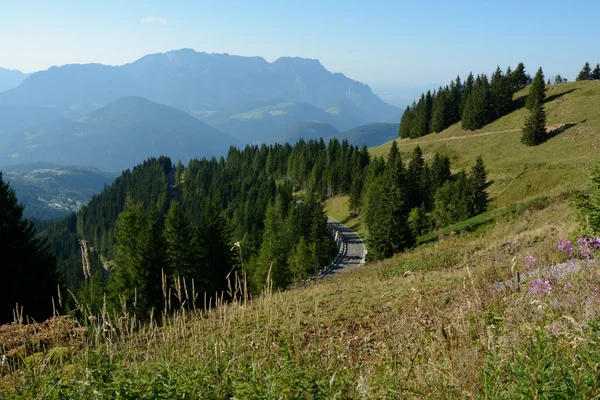 山、 草地、 树木和在德国阿尔卑斯山的道路 — 图库照片