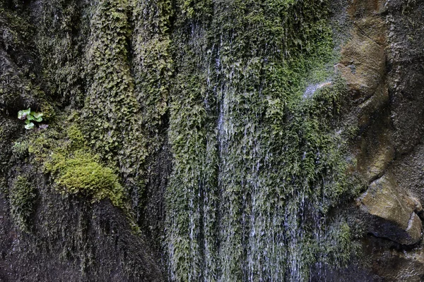 Вода течет по скале — стоковое фото