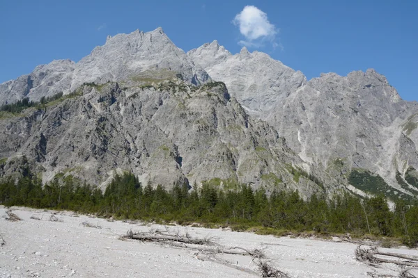 Talus a stromy v Wimbachtal údolí v Alpách v Německu — Stock fotografie