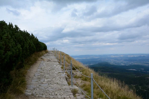 Karkonosze dağlar kayalarda Sloneczniki yakın iz. — Stok fotoğraf