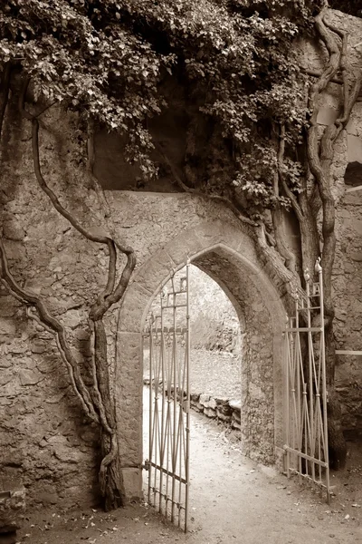 Porta de Sepia tonificada — Fotografia de Stock