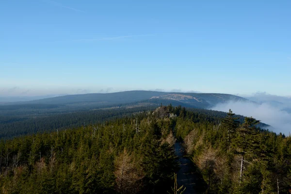 Wald und Wolken im Isergebirge — Stockfoto