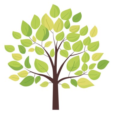 Beyaz arka planda izole edilmiş yeşil ağaç. Vektör illüstrasyonu