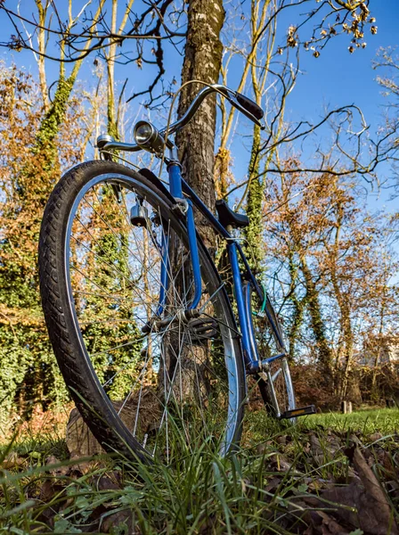 Bicicleta Encostada Uma Árvore — Fotografia de Stock