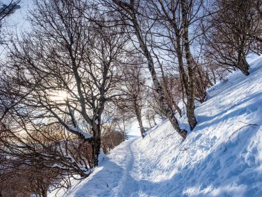 İtalya 'nın Valle the Alp dağlarında karda yol