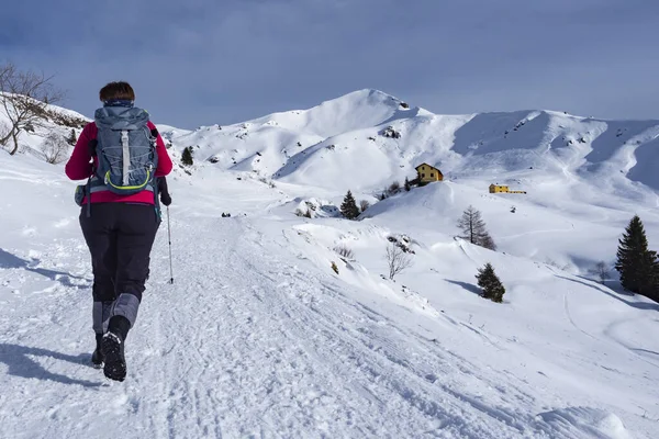 Cena Caminhadas Inverno Nos Alpes — Fotografia de Stock