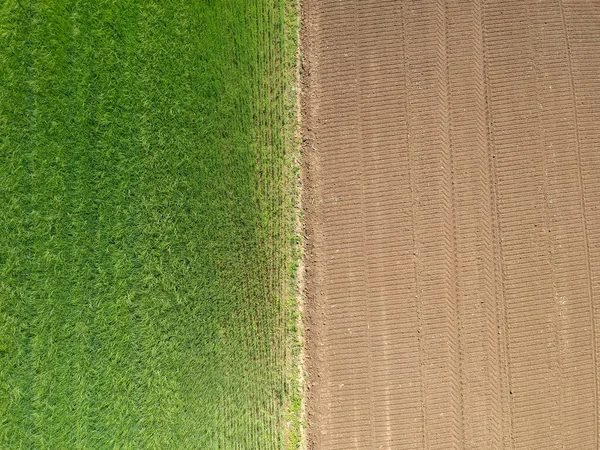 Campo Agrícola Visto Desde Arriba Por Dron —  Fotos de Stock