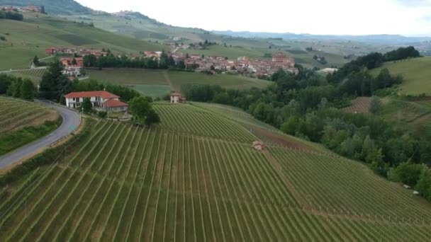 Drone View Langhe Landscape Barolo Area — Αρχείο Βίντεο