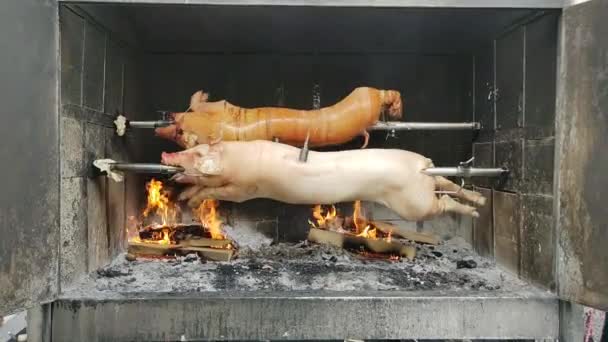 Porcos Grelhando Forno — Vídeo de Stock
