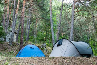 Ormanda kamp çadırı