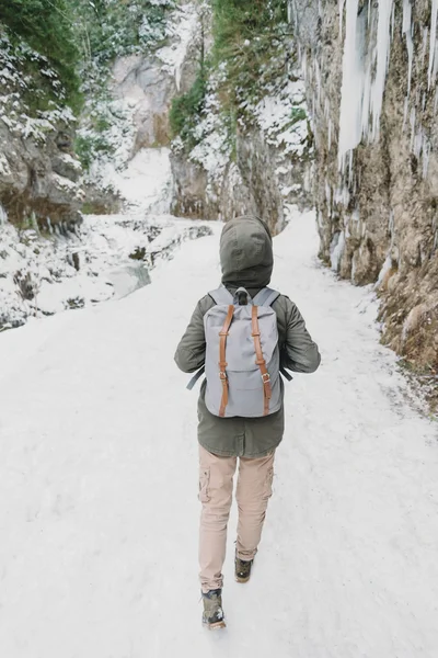 Um passeio no caminho de inverno — Fotografia de Stock