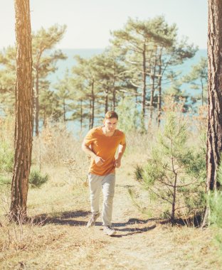 Ormanda çalışan adam 