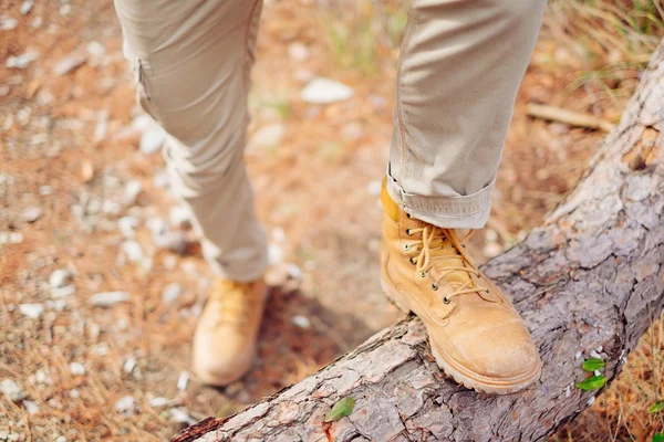 Homme traversant le tronc d'arbre — Photo