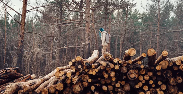 Traveler walking on felled tree trunk — Stock Photo, Image