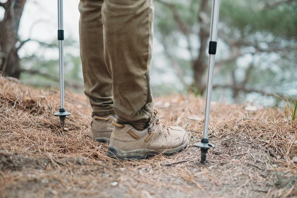 Escursionista con bastoncini da trekking — Foto Stock