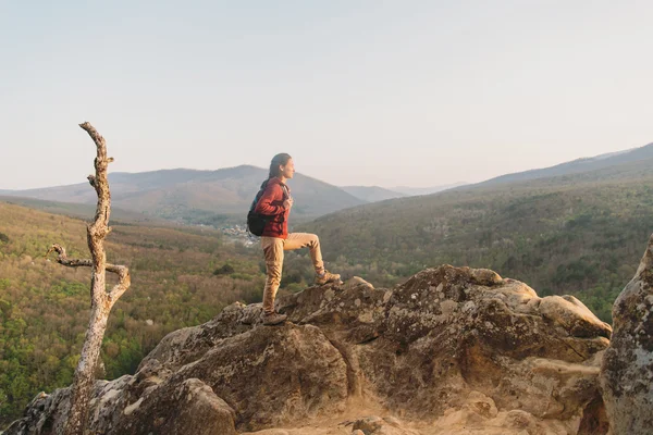 Caminante de pie en el pico de roca —  Fotos de Stock