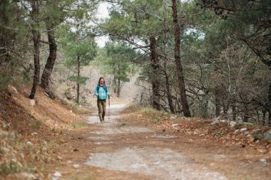 Uzun yürüyüşe çıkan kimse çam ormanda yürüyüş