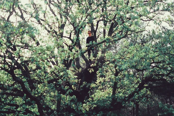 Adam ağaç taç ayakta — Stok fotoğraf