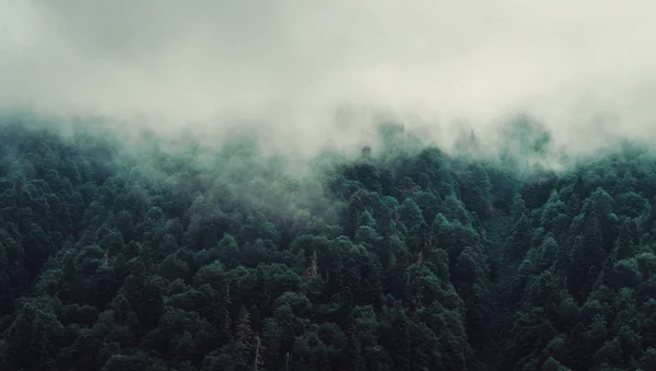 Mist in de bergen — Stockfoto