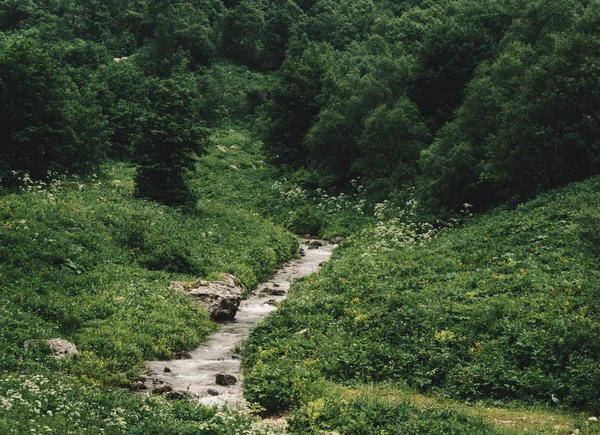 Piccolo torrente di montagna — Foto Stock