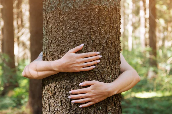 Unrecognizable woman hugging a tree trunk in summer forest. Concept of care for environment.