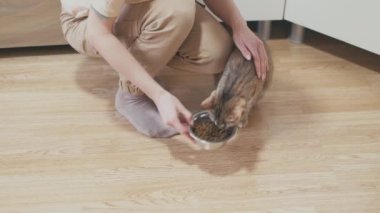 Genç kadın kedisini beslemek için yere bir kase kuru yiyecek koyar.