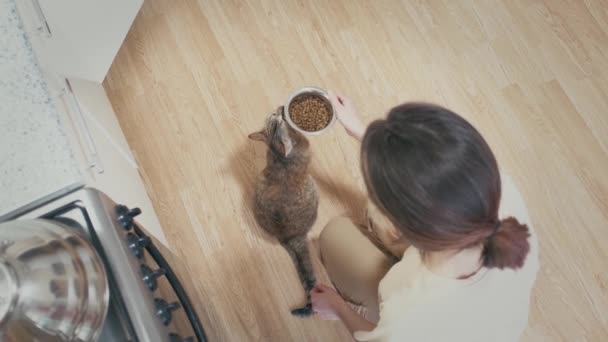 一个无法辨认的年轻女人坐下来 把一碗干粮放在地板上 家猫吃生姜 — 图库视频影像