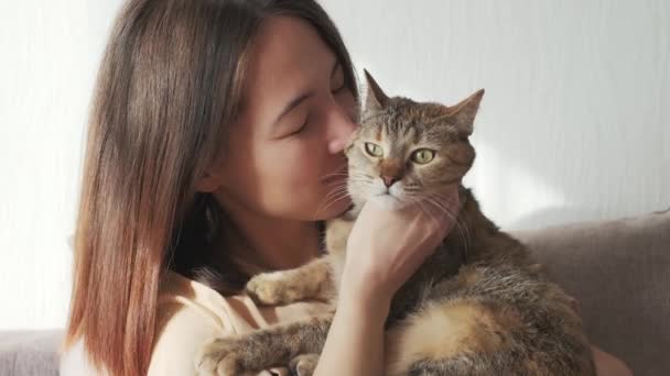 Mooi Meisje Wrijft Neus Wang Zijn Kat — Stockvideo