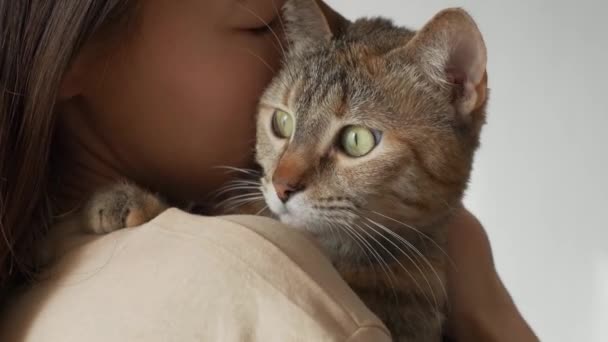 若い女性がカメラに背を向けて立ち 肩に猫を撫でている それからかれはその顔を 毛皮のペットの方に押しつけ — ストック動画
