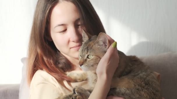 Anfitriona Besa Mascota Una Hermosa Chica Expresa Amor Por Gato — Vídeo de stock