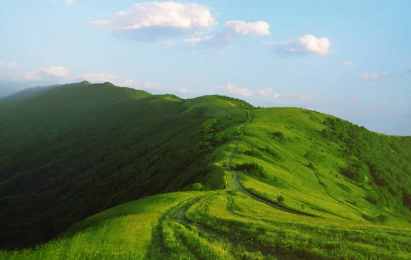 Krajina Modré Oblohy Kopců Loukami Pokrytými Zelenou Trávou Letní Den — Stock fotografie